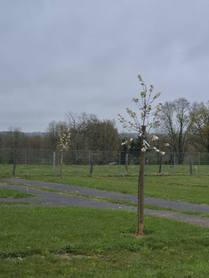 Commune de Reffannes